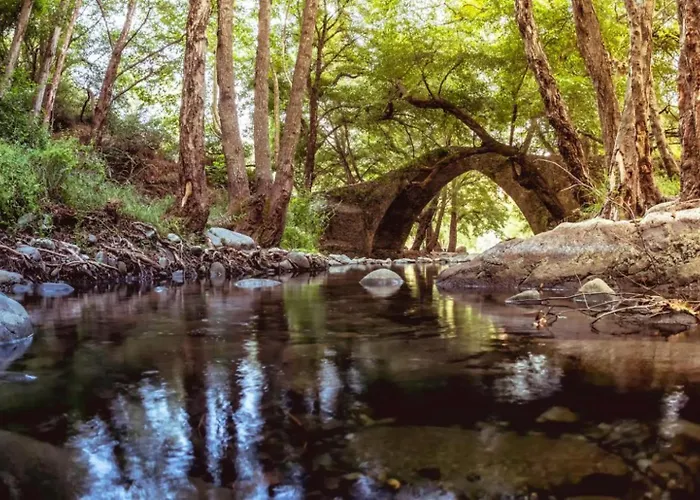 빌라 Evelina 파포스